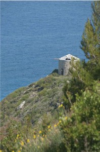 view