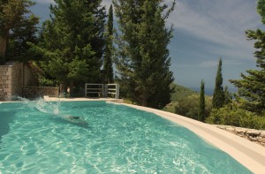 home-slide-1