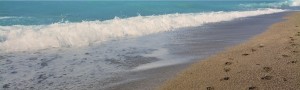 waves